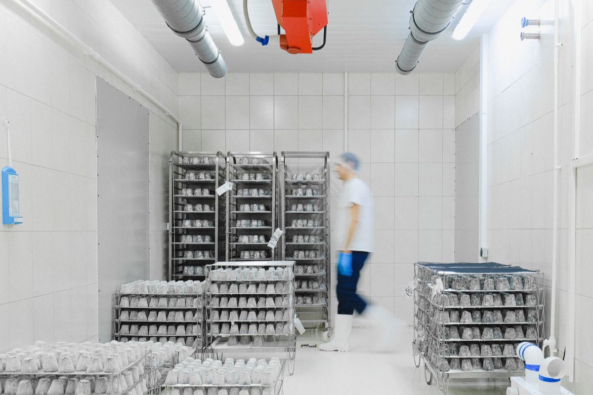 Interior of a refrigerated cold-storage facility with racked perishable goods